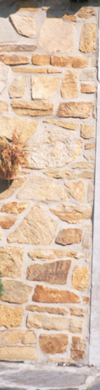 header links